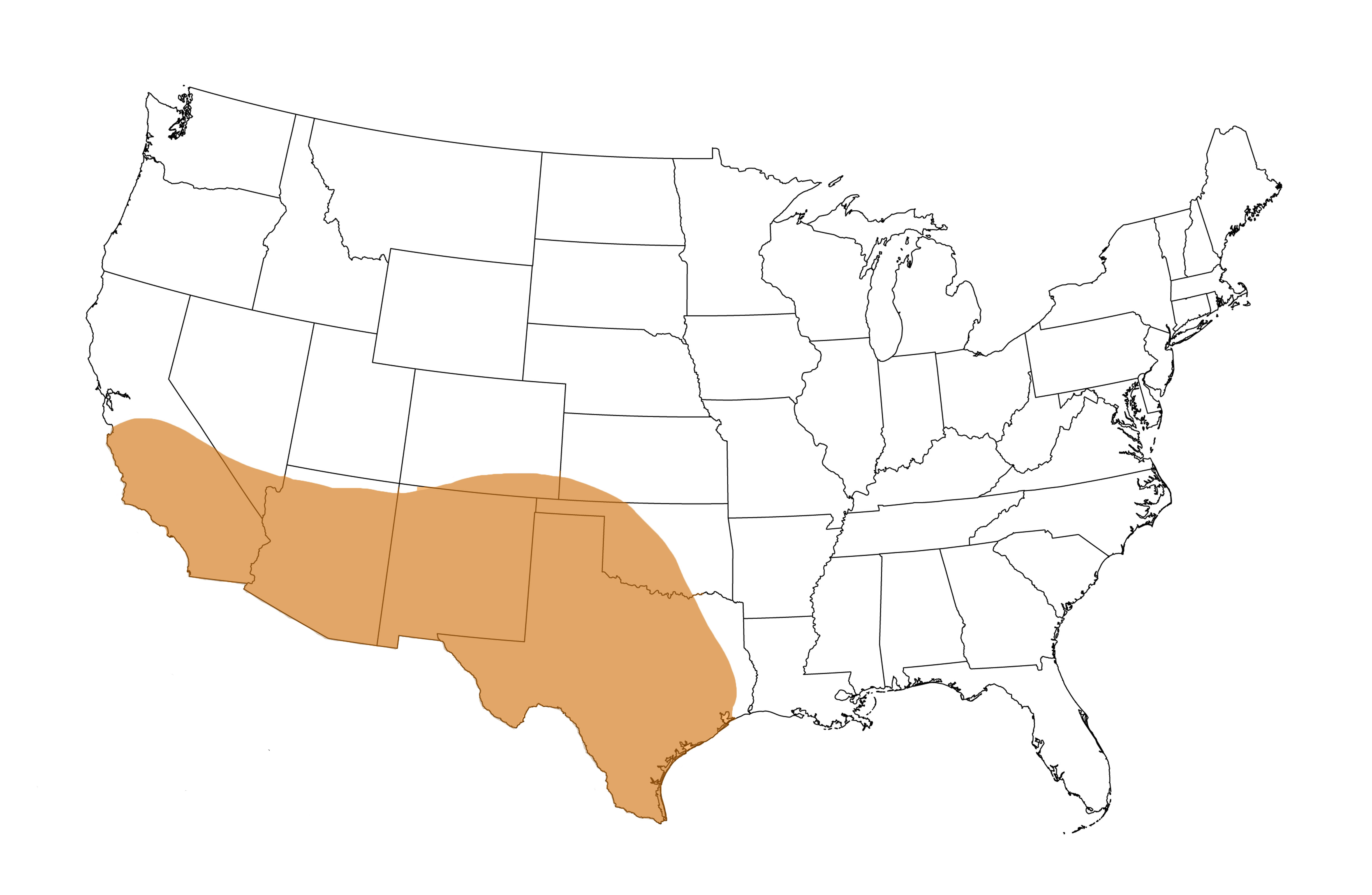  Geographic range of  Schistocerca nitens  (Thunberg) 

